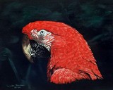 by Linda Becker