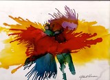by robert havens