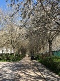 by Marie josé LAURIER
