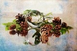 by Randi Grace Nilsberg