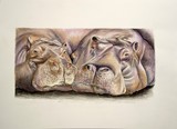 by Amanda Martin