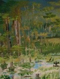 by Donald Northup