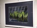 by Sandy Bennett Art Gallery 
