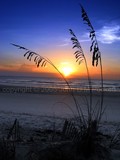 by John Puckett