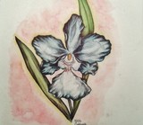 by Kellie C.