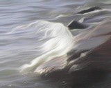 by Michelle Hoffmann