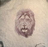 by Barbara Jayne