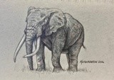 by Monica Kettenhofen