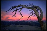 by Dennis  Burkhart