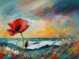 by Mihaela B