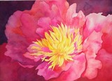 by Sandra Homer-Frantz