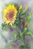 by Dianna Simms