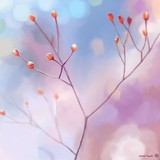 by Sarina Renee