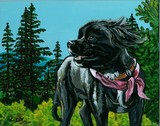 by Angie Waszkiewicz