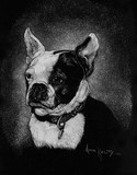 by Anne Kelty