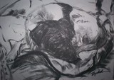 by Antoon Diepstraten