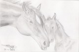 by Elise Wong