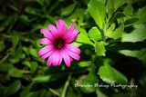 by Brandon 