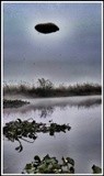 by cervantes wu