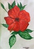 by José Ramalhão Fortunato