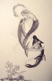 by Faith Bengtson