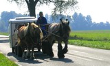 by Nelly van Nieuwenhuijzen