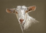 by Jennifer Redstreake