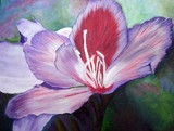 by donald penwell