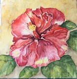 by Ingrid Kolster