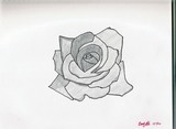 by Brandy Rote