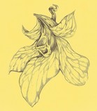 by Clinton Yaws