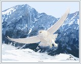 by Mark Karvon