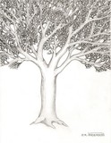 by James Anderson