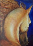 by Sue Steiner