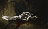by Tamas Horvath