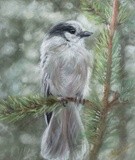 by Sheryl Boivin