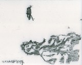 by Angga Aditya