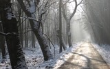 by DK AG