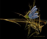 by Pamela Davidson
