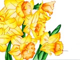 by Mary-Anna Welch