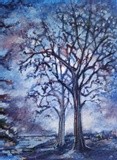 by michelle legere