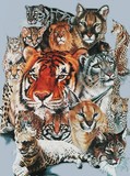 by Barbara Keith