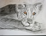 by Michele Turney