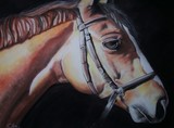 by DIANE CHILSON