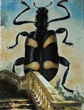 by Vittorio Losito