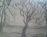 by Dianna Newby