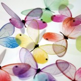 by Clear Cut Crafts