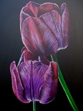 by aaron lawrence