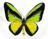 by Klara Luise Maxeiner