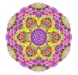 by Jane  Priser